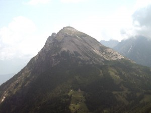 1-seehorn