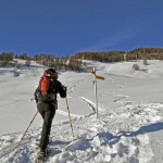 palina-fuori-dal-bosco