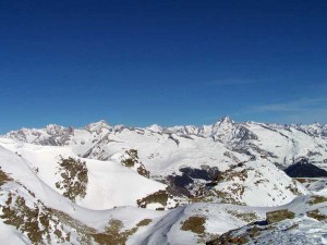 oberland-bernese