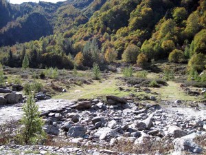 guado del torrente