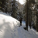 traverso nel bosco dopo chamolé