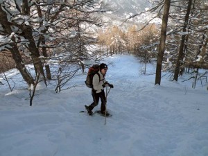 nel bosco sopra cortino