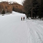 partenza nel bosco