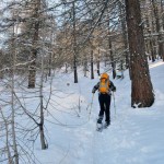 nel bosco sopra il rifugio