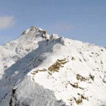 dal corno vitello alla punta valnera