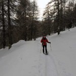 sulla poderale nel bosco