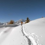 verso la dorsale con sfondo il bianco