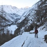 primi tornanti nel bosco