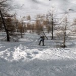 pendio ripido nel rado bosco