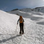 vallettina sopra il bosco