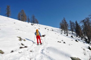 all'uscita del bosco