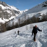 pendio fuori dal bosco