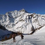 fuori dal bosco