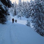 nel bosco sopra san grato