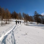 verso l'uscita dal bosco