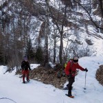 salita iniziale nel bosco