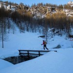 ingresso nel bosco