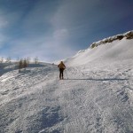 fuori dal bosco