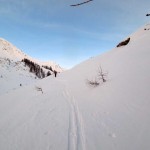 traverso fuori dal bosco