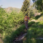 dal bosco si vede il bivacco