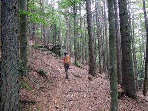 arrivo all'alpe cornala