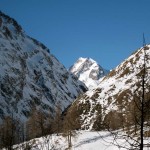 aiguille de trelatete