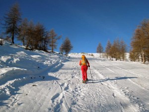 verso l'uscita del boschetto