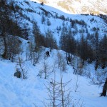 traverso nel rado bosco dopo arp du bois