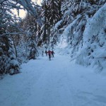 bosco magico alla partenza