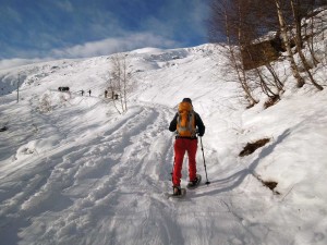 uscita dal bosco