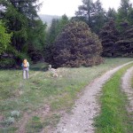 inizio sentiero al margine del bosco