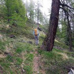 traverso nel bosco superiore