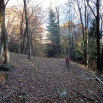 nel bosco sopra onzo