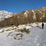 slargo nel bosco