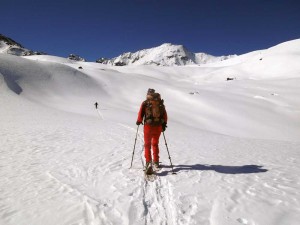 verso la bassa morena