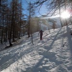 nel rado bosco