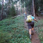 sentiero ripido nel bosco