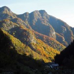 autunno a fontana