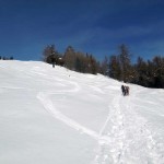 verso il bosco dopo arvus