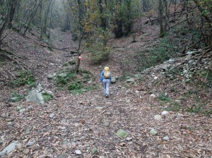 slargo nel bosco