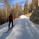 poderale sopra il bosco