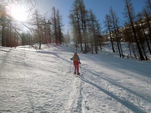 slargo nel bosco