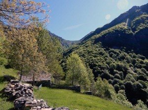 1colma-di-premosello-dall'alpe-la-piana