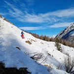 fuori-dal-bosco