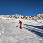 pendii-fuori-dal-bosco